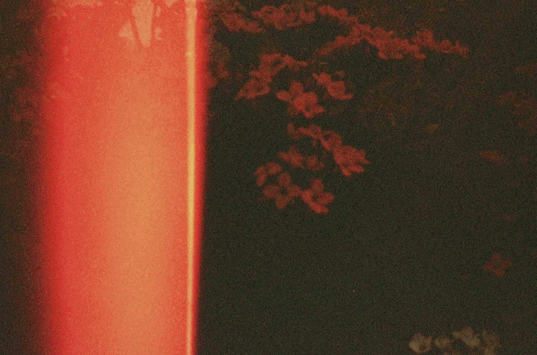 Light Leak