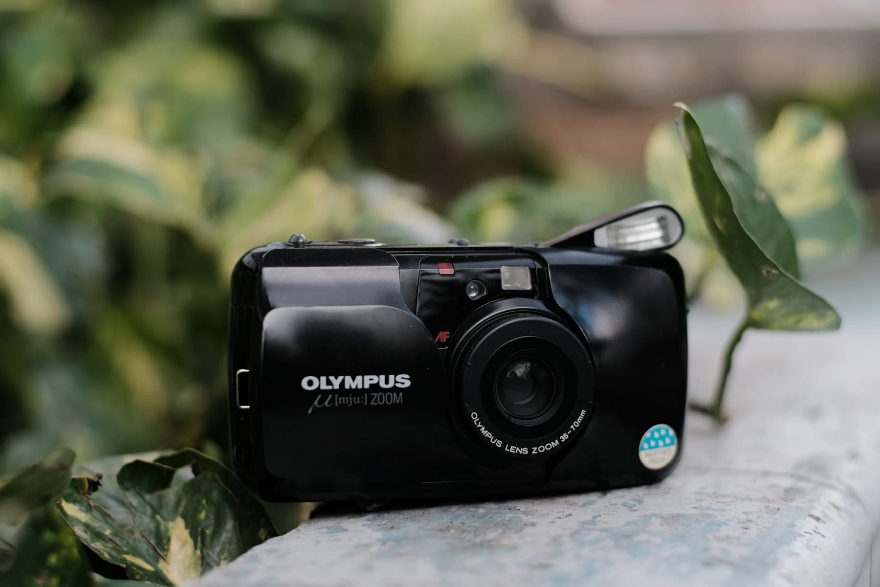 Olympus Mju-II Review: The Cult Compact with the f/2.8 Lens