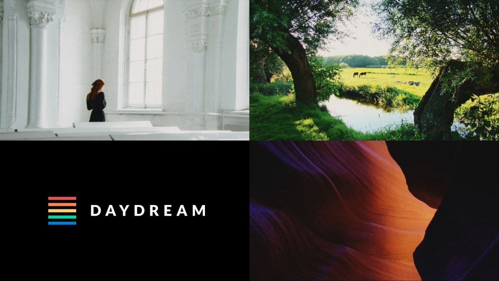 The Daydream film