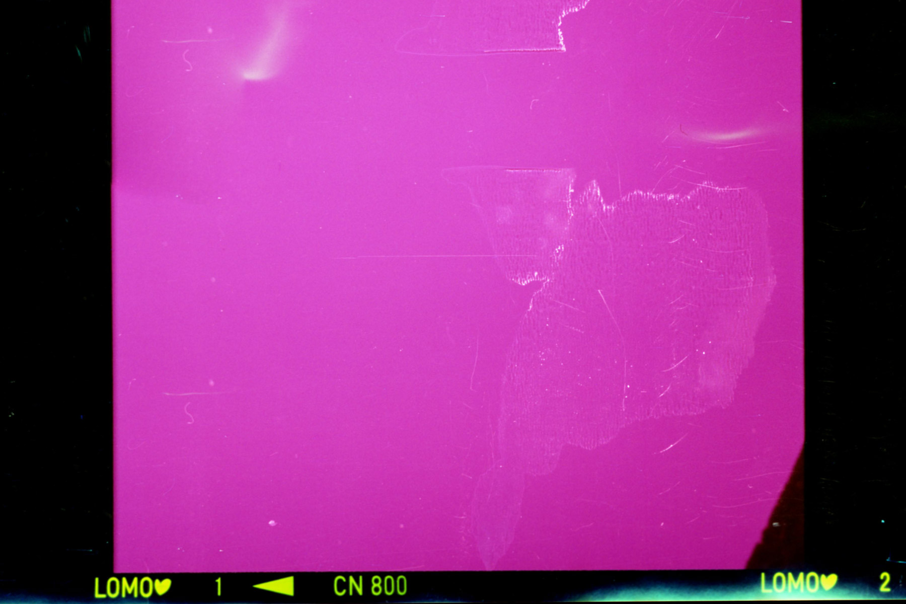 Lomography Color Negative 800 Review: Affordable High-Speed Film