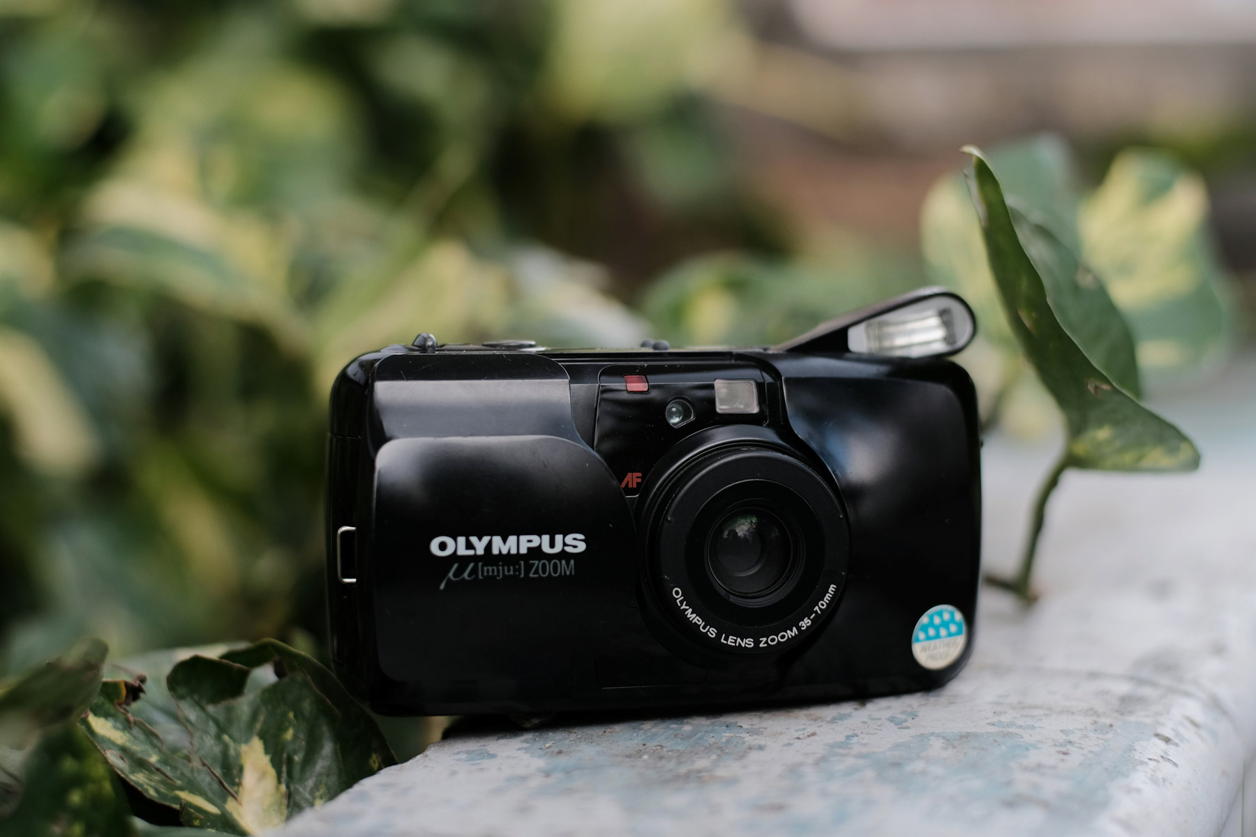 Olympus Mju-II Review: The Cult Compact with the f/2.8 Lens
