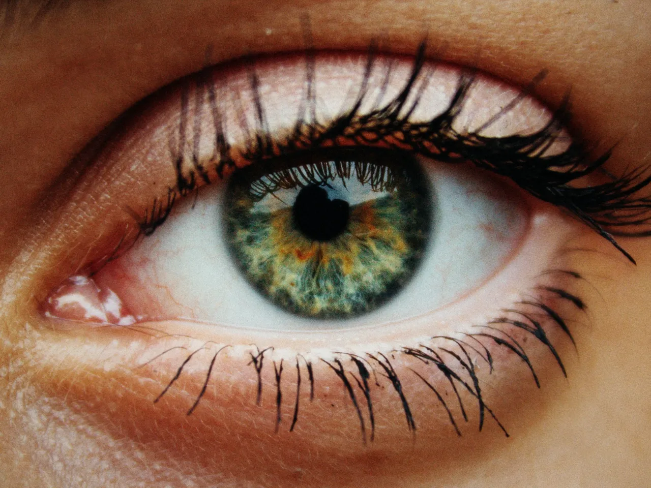 An extreme close-up of a green eye with long dark lashes, its iris flecked with amber, with exposure at 0 stops