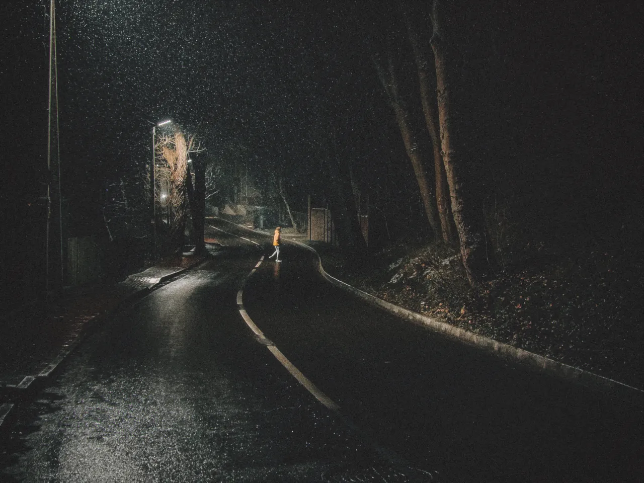A wet road curving through dark woods at night in falling snow, under a single street lamp, with film fog at 50%