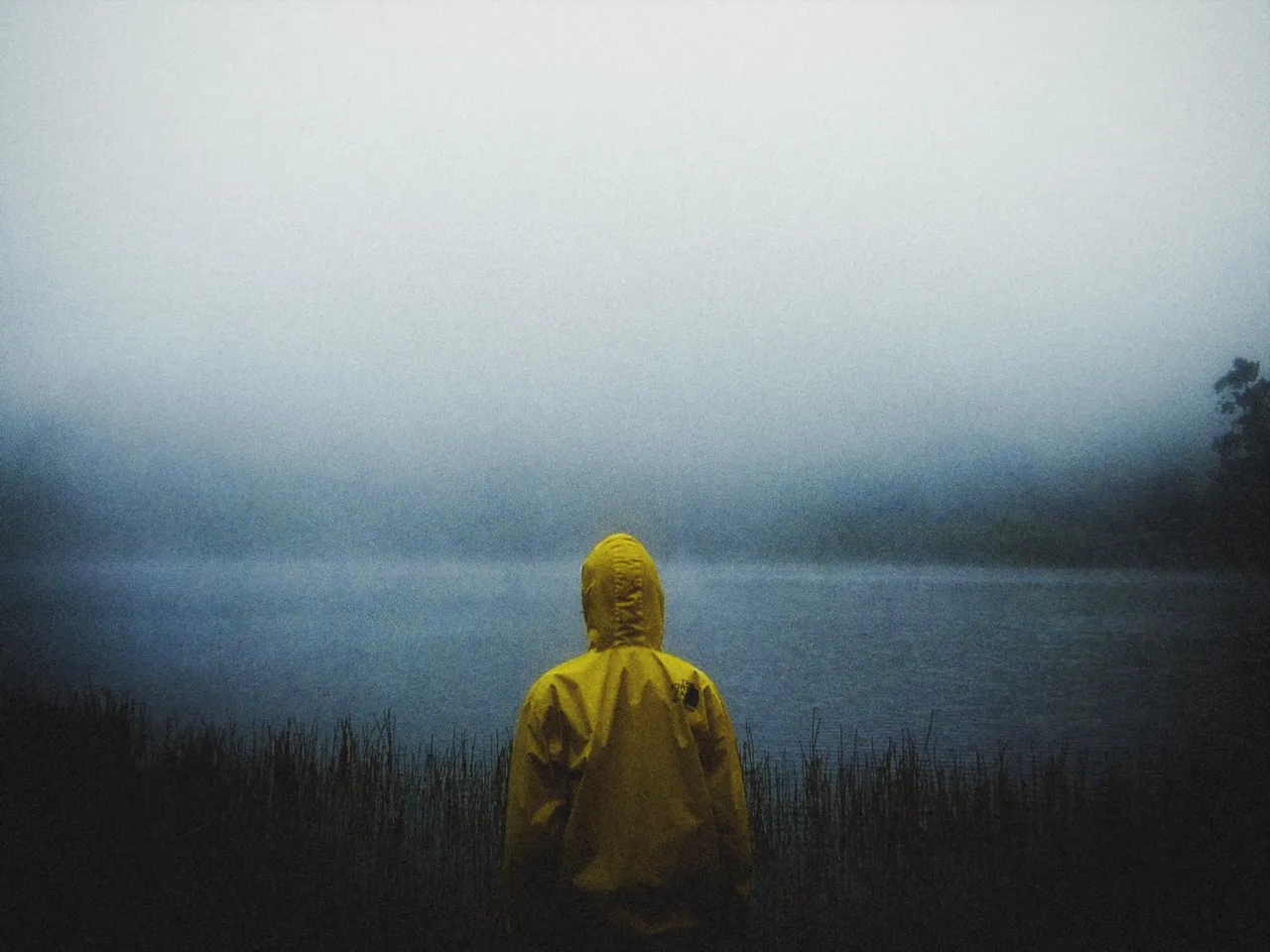 A figure in a yellow rain jacket, hood up, facing a lake lost in fog, with yellow hue at 0